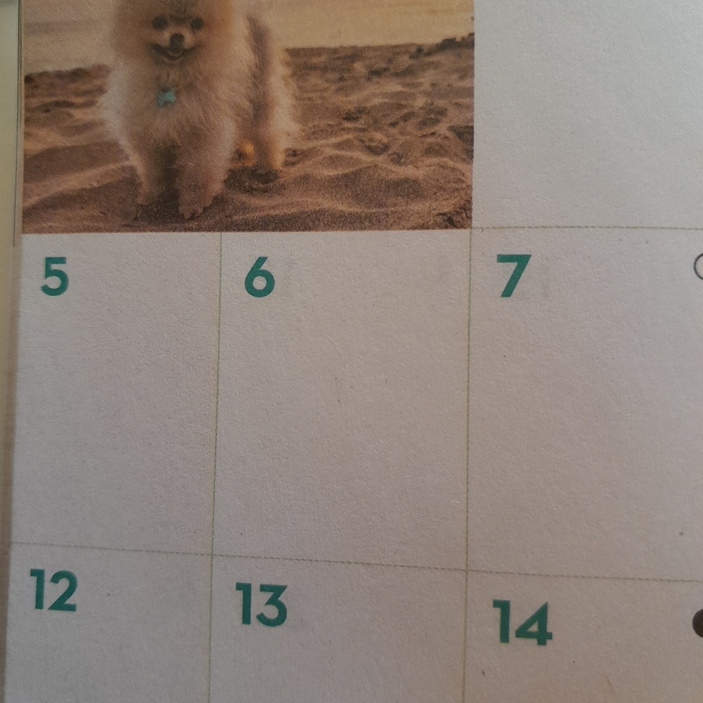 Two-Year Planner With Dogs - Picture 8 of 10